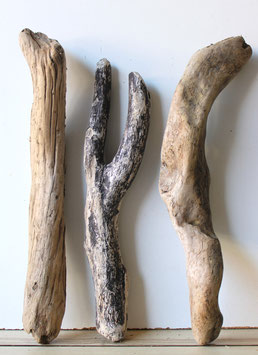 Treibholz Schwemmholz Driftwood 3 knorrige  Hölzer Dekoration Garten Terrarium 45 cm - 53 cm lang **E40** (TR1044)