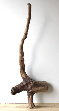 Treibholz Schwemmholz Driftwoood 1 XXL  Wurzel Dekoration Terrarium 109 cm (W704)