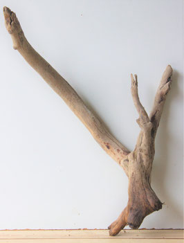 Treibholz Schwemmholz Driftwood  1 XL  Wurzel  62 cm (W421)