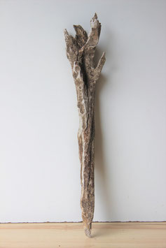 Treibholz Schwemmholz Driftwood  1 XL   Skulptur  65 cm  (S302)