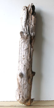 Treibholz Schwemmholz Driftwood  1 XXL Stamm Dekoration Garten Terrarium Ostern Lampenbau 93 cm (ST511)