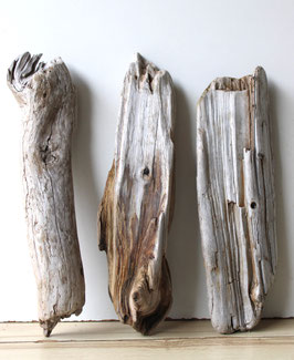 Treibholz Schwemmholz Driftwood  3 knorrige Treibhölzer Terrarium Garten Dekoration 38 cm - 41 cm lang **E39** (TR1185)