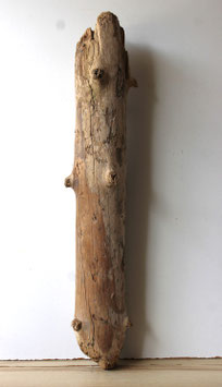 Treibholz Schwemmholz Driftwood 1 XL  Stamm Dekoration Garten Terrarium 85 cm (ST482)