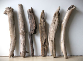 Treibholz Schwemmholz Driftwood  6 Hölzer Dekoration Garten  Terrarium 44 cm-50 cm **E72** (TR945)