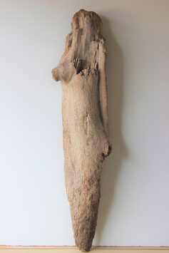 Treibholz Schwemmholz Driftwood  1 MEGA  Skulptur  129 cm   (XXL237)