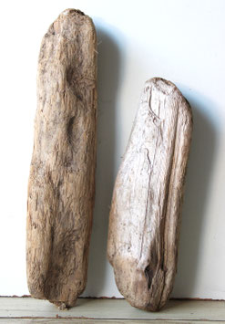 Treibholz Schwemmholz Driftwood 2 knorrige Hölzer Dekoration Garten Terrarium  36-47 cm   **E4** (TR1235)