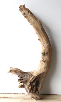 Treibholz Schwemmholz Driftwood  1 XXL  Wurzel  Dekoration Garten Terrarium  77 cm (W692)