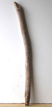 Treibholz Schwemmholz Driftwood  1 Ast  Dekoration Garten Terrarium Garderobe 81 cm (SA900)