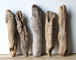 Treibholz Schwemmholz Driftwood  5 Hölzer Dekoration Garten Terrarium 35 cm- 40 cm  **E46** (TR1168)