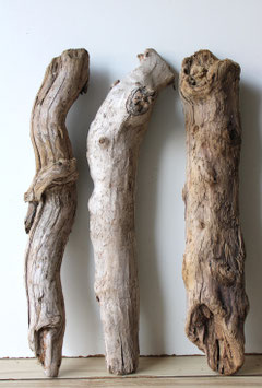 Treibholz Schwemmholz Driftwood  3 knorrige XL Hölzer Dekoration Garten Terrarium 52-54 cm (TR1221)