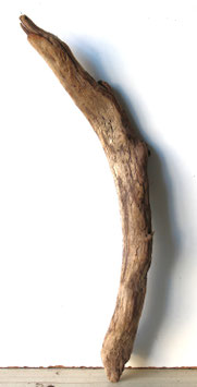 Treibholz Schwemmholz Driftwood  1  Ast   Garderobe Dekoration Garten 64 cm  (Ä1688)