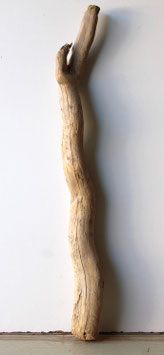 Treibholz Schwemmholz Driftwood 1 Ast  Garderobe Dekoration  67 cm   (SA858)