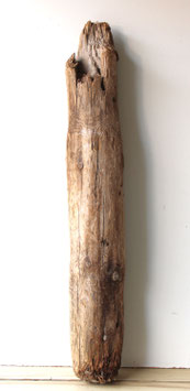 Treibholz Schwemmholz Driftwood  1 MEGA Stamm Dekoration Garten Terrarium Ostern Lampenbau 119 cm (ST515)