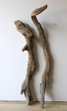 Treibholz Schwemmholz Driftwood 2 XL Wurzeln  Dekoration Garten Terrarium 63 cm - 73 cm (W738)