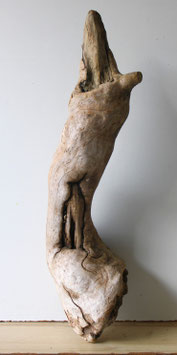 Treibholz Schwemmholz Driftwood  1 knorrige XL  Wurzel Dekoration Garten Terrarium  71 cm lang (W735)