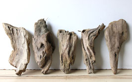 Treibholz Schwemmholz Driftwood  5 knorrige  Treibhölzer Terrarium Garten  20 cm - 26 cm lang  (TR1191)
