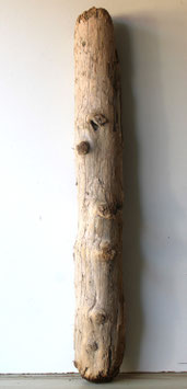 Treibholz Schwemmholz Driftwood 1 MEGA Stamm  Dekoration Garten Terrarium 70 cm  (ST500)