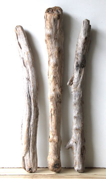 Treibholz Schwemmholz Driftwood  3 XXL   Hölzer Dekoration Garten Terrarium  66-73 cm  (TR1167)