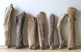 Treibholz Schwemmholz Driftwood  7 Hölzer Dekoration Garten Terrarium  26 cm - 35 cm *E28*  (TR1302)