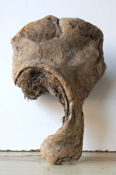 Treibholz Schwemmholz Driftwood 1 knorrige Skulptur Dekoration Garten Terrarium 25 cm hoch  (SA846)