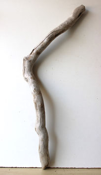 Treibholz Schwemmholz Driftwood  1 XL Ast  Dekoration Garten Terrarium 86 cm   (Ä1636)