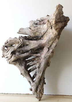 Treibholz Schwemmholz Driftwood 1 XXL Wurzel Dekoration Garten Terrarium 62 cm (W737)