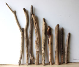 Treibholz Schwemmholz Driftwood 9 Äste   Dekoration Garten Terrarium 32 cm - 66  cm (SA811)