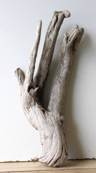 Treibholz Schwemmholz Driftwood  1   Wurzel  Dekoration Garten Terrarium  38 cm (W687)