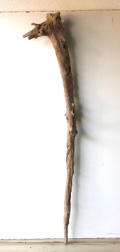 Treibholz Schwemmholz Driftwood 1  XXL  Skulptur  Dekoration Garten Terrarium 147  cm (XXL315)
