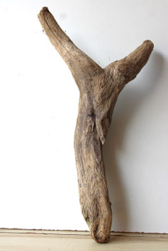 Treibholz Schwemmholz Driftwood 1 knorrige XL Skulptur  Dekoration Garten Terrarium 63  cm hoch (SA815)