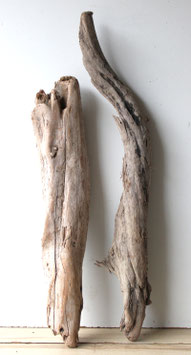 Treibholz Schwemmholz Driftwood  2 XXL Hölzer  Dekoration Garten Terrarium 67 cm - 85 cm (TR1239)