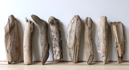 Treibholz Schwemmholz Driftwood 8 Hölzer Dekoration Garten Terrarium 23 cm - 27 cm lang **E167* (TR1025)