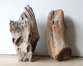 Treibholz Schwemmholz Driftwood 2 knorrige  Hölzer Dekoration Garten Terrarium ca 26 cm  **2** (TR1318)