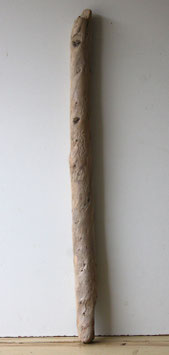 Treibholz Schwemmholz Driftwood 1 XL Ast Dekoration Garten Garderobe 98 cm (Ä1705)
