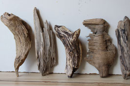 Treibholz Schwemmholz Driftwood 7 Hölzer  Dekoration Garten Garderobe 19 cm - 26  cm  **12**(TR1139 )