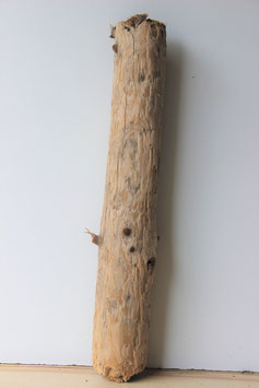 Treibholz Schwemmholz Driftwood  1  XL    Stamm  Dekoration  74  cm (ST377)