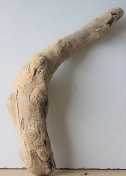 Treibholz Schwemmholz Driftwood  1 knorrige   Skulptur   43  cm (SA491)
