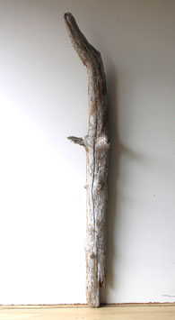 Treibholz Schwemmholz Driftwood 1 XXL Skulptur  Hölzer Terrarium Dekoration Garten 133  cm (SA796)