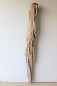 Treibholz Schwemmholz Driftwood  1 XXL Skulptur  123  cm (XXL240)