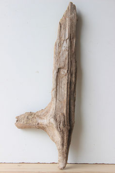 Treibholz Schwemmholz Driftwood  1  Skulptur   55  cm lang  (SA411)