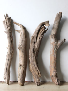 Treibholz Schwemmholz Driftwood 4 XL Hölzer Dekoration Garten Terrarium 45 cm - 51 cm (TR1315)