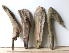 Treibholz Schwemmholz Driftwood  4 Treibhölzer Terrarium Garten  32 cm - 36 cm lang  (TR1192)