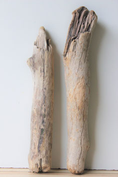 Treibolz Schwemmholz Driftwood  2 knorrige     Hölzer   52 cm  - 60 cm  (TR615)