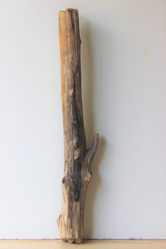 Treibholz Schwemmholz Driftwood  1  XXL  Stamm 97 cm (ST380)