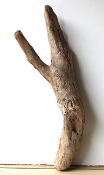 Treibholz Schwemmholz Driftwood  1 knorrige XL  Skulptur  Dekoration Garten Terrarium  67 cm  (SA800)