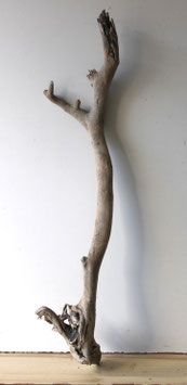 Treibholz Schwemmholz Driftwood  1 XL  Wurzel Dekoration Garten Terrarium  91 cm lang (W733)