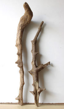 Treibholz Schwemmholz Driftwood  2 Hölzer  Garten Terrarium Dekoration  53 cm - 59 cm hoch  (SA784)