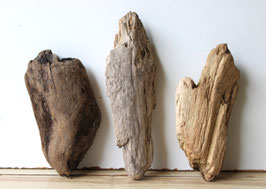 Treibholz Schwemmholz Driftwood 3 knorrige  Hölzer  Dekoration Garten Terrarium 19 cm - 25  cm (SA810)