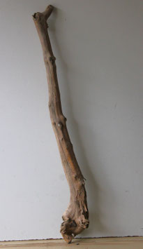 Treibholz Schwemmholz Driftwood 1 XL Ast Dekoration Garten Garderobe 100 cm (Ä1704)
