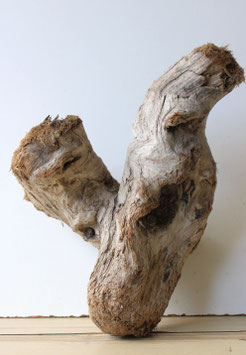 Treibholz Schwemmholz Driftwood  1  Wurzel  Dekoration Garten Terrarium  37 cm (W683)